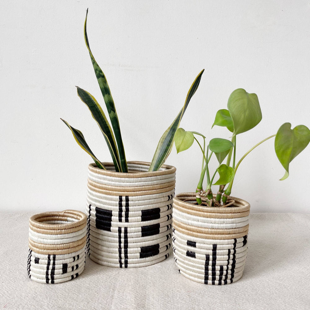 Busengo Storage Planter Baskets