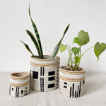 Busengo Storage Planter Baskets