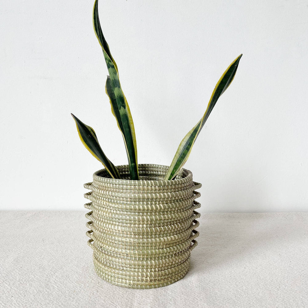 Kupanua Sweetgrass Planter Basket