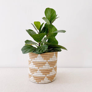 Zaza Storage Planter Baskets