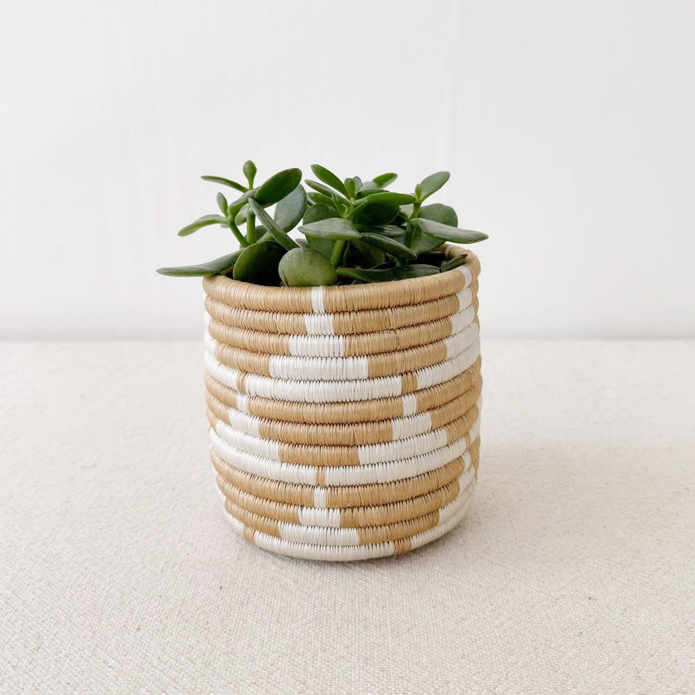 Zaza Storage Planter Baskets