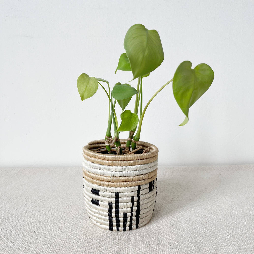 Busengo Storage Planter Baskets