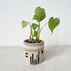 Busengo Storage Planter Baskets