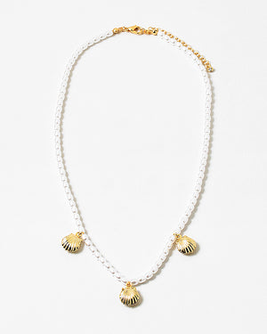 Beaded Shell Choker Necklace