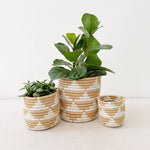 Zaza Storage Planter Baskets