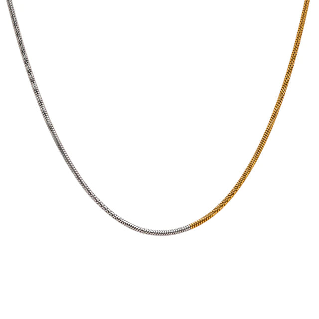 Alisa Thin Two Tone Chain Necklace